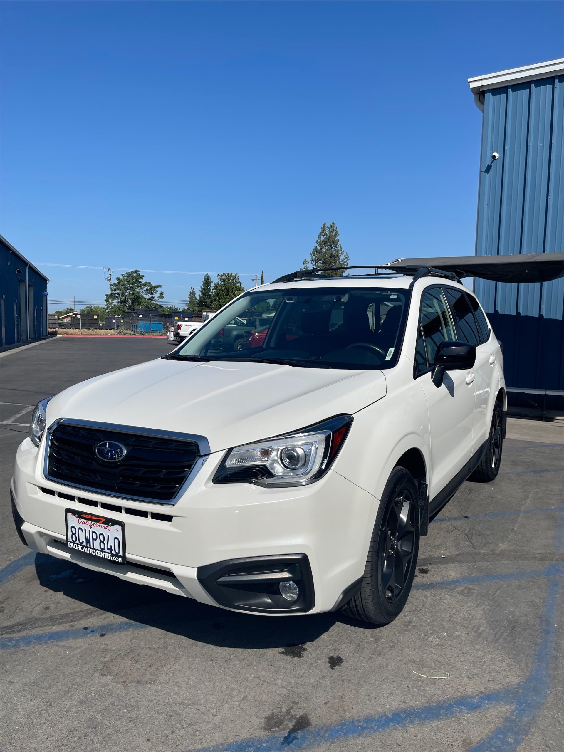 Close-up of a vehicle’s hood reflecting the sky, demonstrating the clarity of a premium PPF.