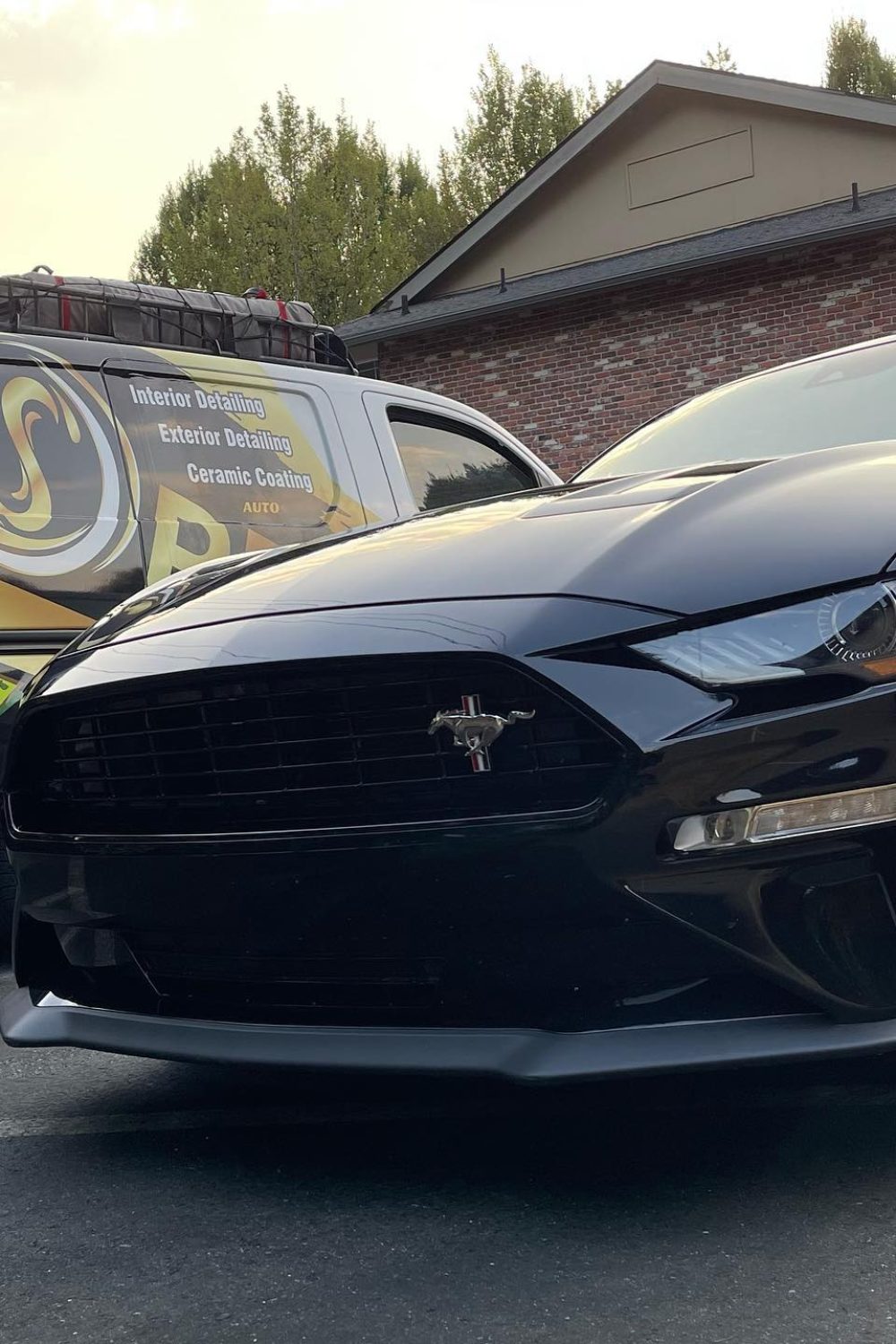 mobile car wash, mobile detailing bellevue, mobile car detailing bellevue