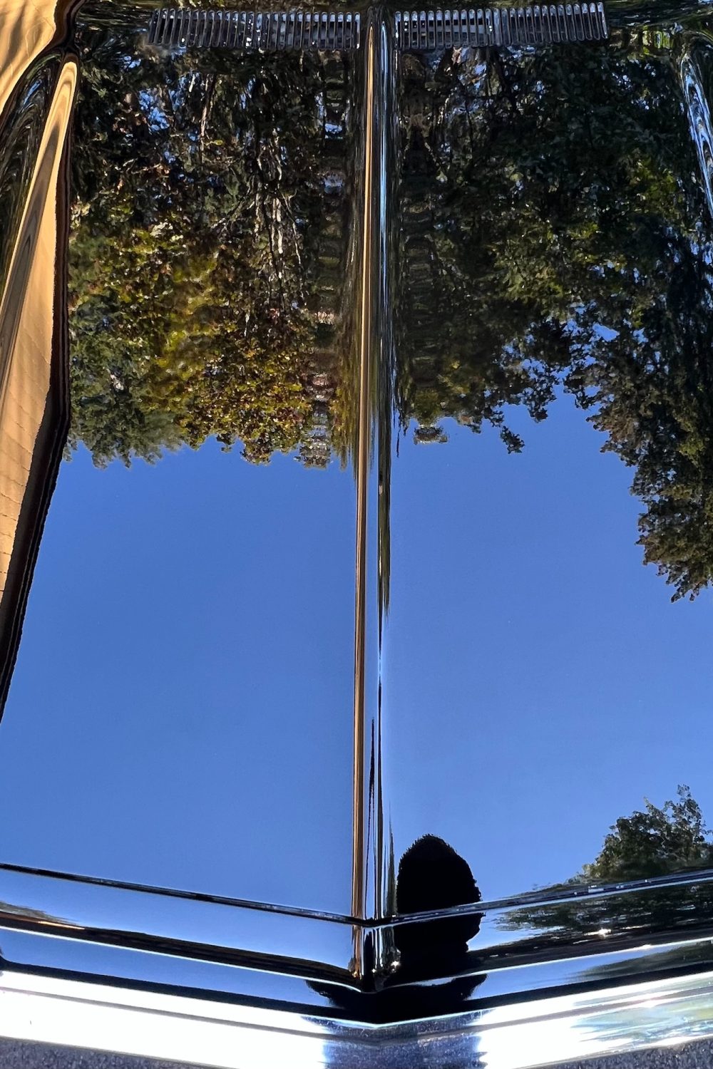 paint correction bellevue after